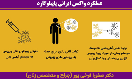 عملکرد واکسن ایرانی پاپیلوگارد1